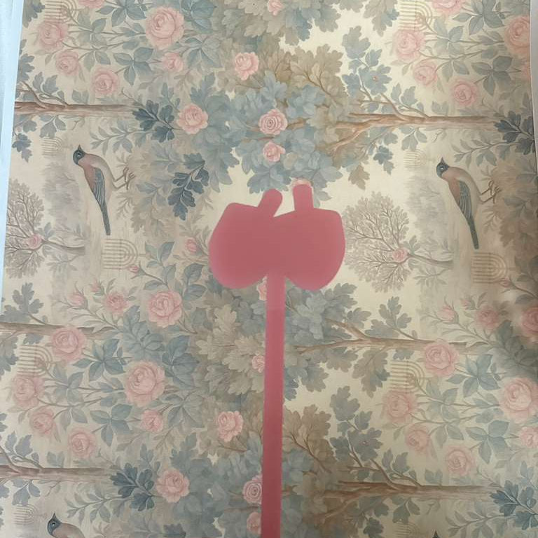 Dreidel Coral Acrylic Skewer 6 Pack